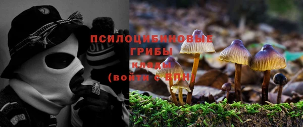 ALPHA PVP Армянск
