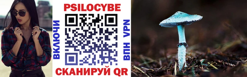 Купить закладки  Калининград  Псилоцибиновые грибы Cubensis 